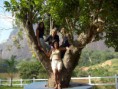 /album/passeio-de-mulheres-2008/tn-fotos-428-jpg/